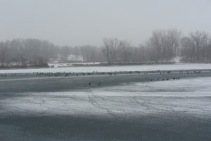 grey indiana winter landscape