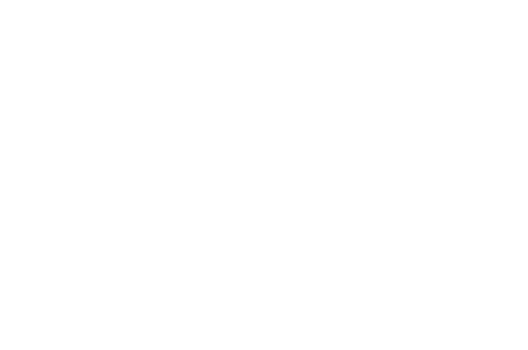 BEST FEATURE DIRECTOR - ONYKO FILM AWARDS - Odesa Ukraine 2022 WHITE