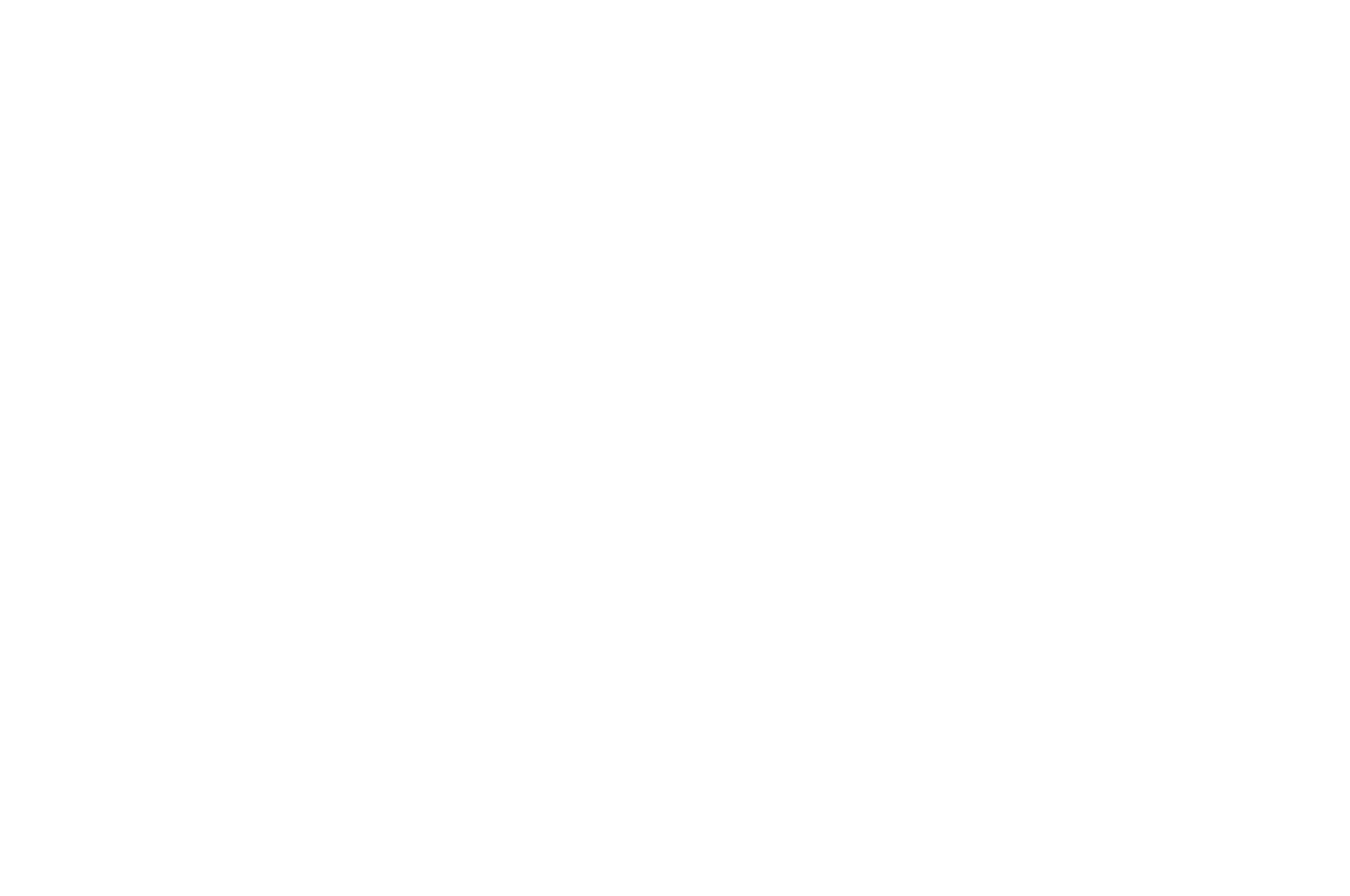 Best Feature Finalist - ICONIC IMAGES FILM FESTIVAL - Lithuania 2022(1)