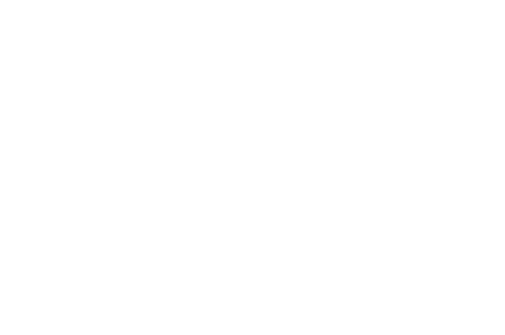 Best International Feature - Polish International Film Festival - Finalist 2022 (1)